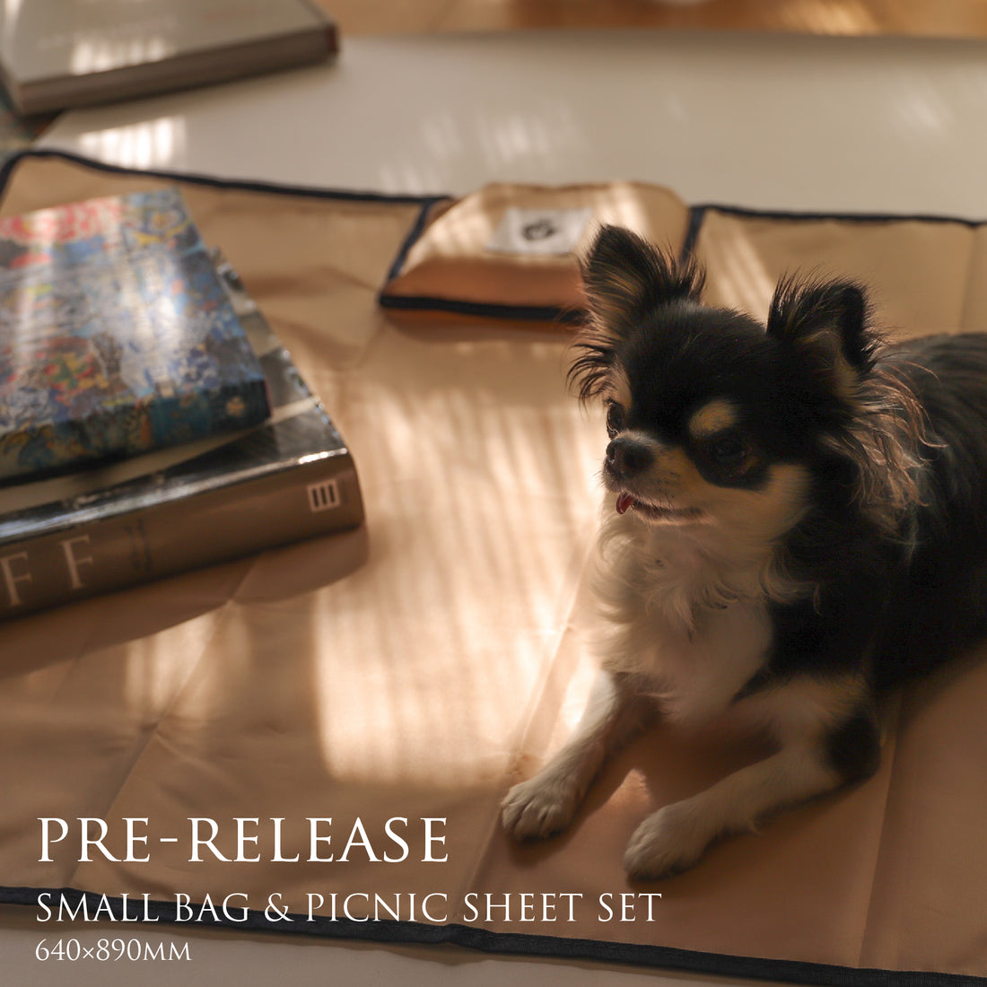 "with Shall we? " picnic sheet &small bag SET発売予告