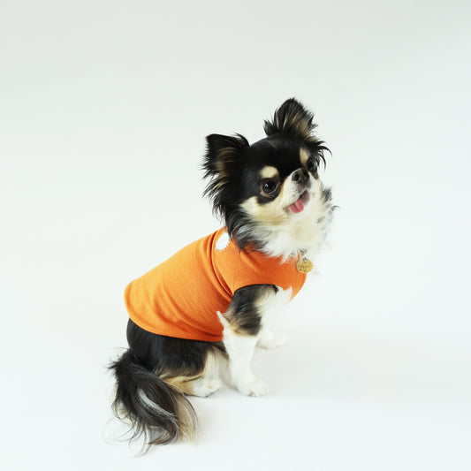 "shade" CARROT ORANGE.